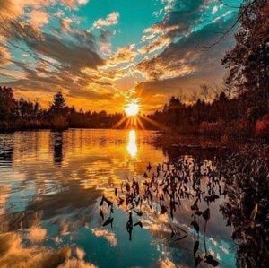 Meet your Posher, Renee